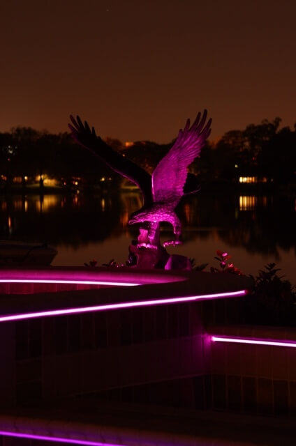 water feature and underwater pool lights led swimming pool light